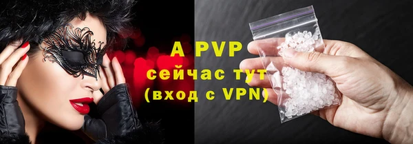 ГАЛЛЮЦИНОГЕННЫЕ ГРИБЫ Надым