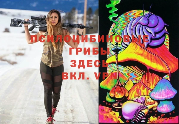 ГАЛЛЮЦИНОГЕННЫЕ ГРИБЫ Надым
