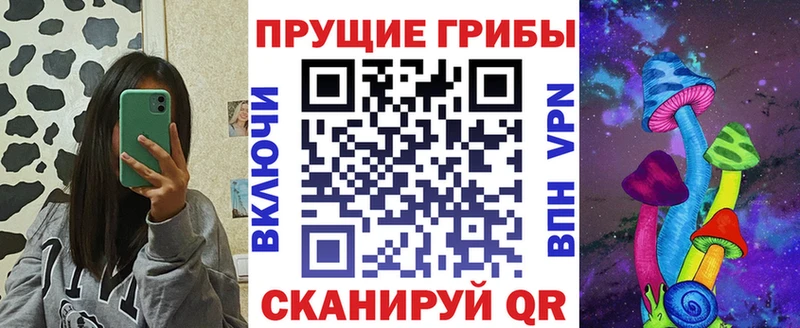 где продают   Наволоки  Псилоцибиновые грибы мицелий 