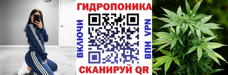 МАРИХУАНА семена  где купить наркотик  Наволоки 